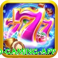 3466bet Pro Gaming App